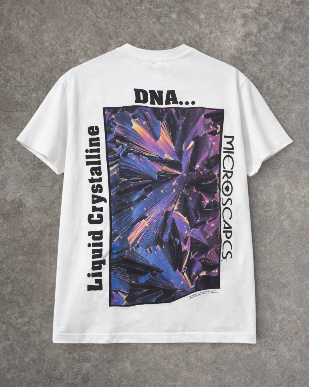 טי לד זפלין