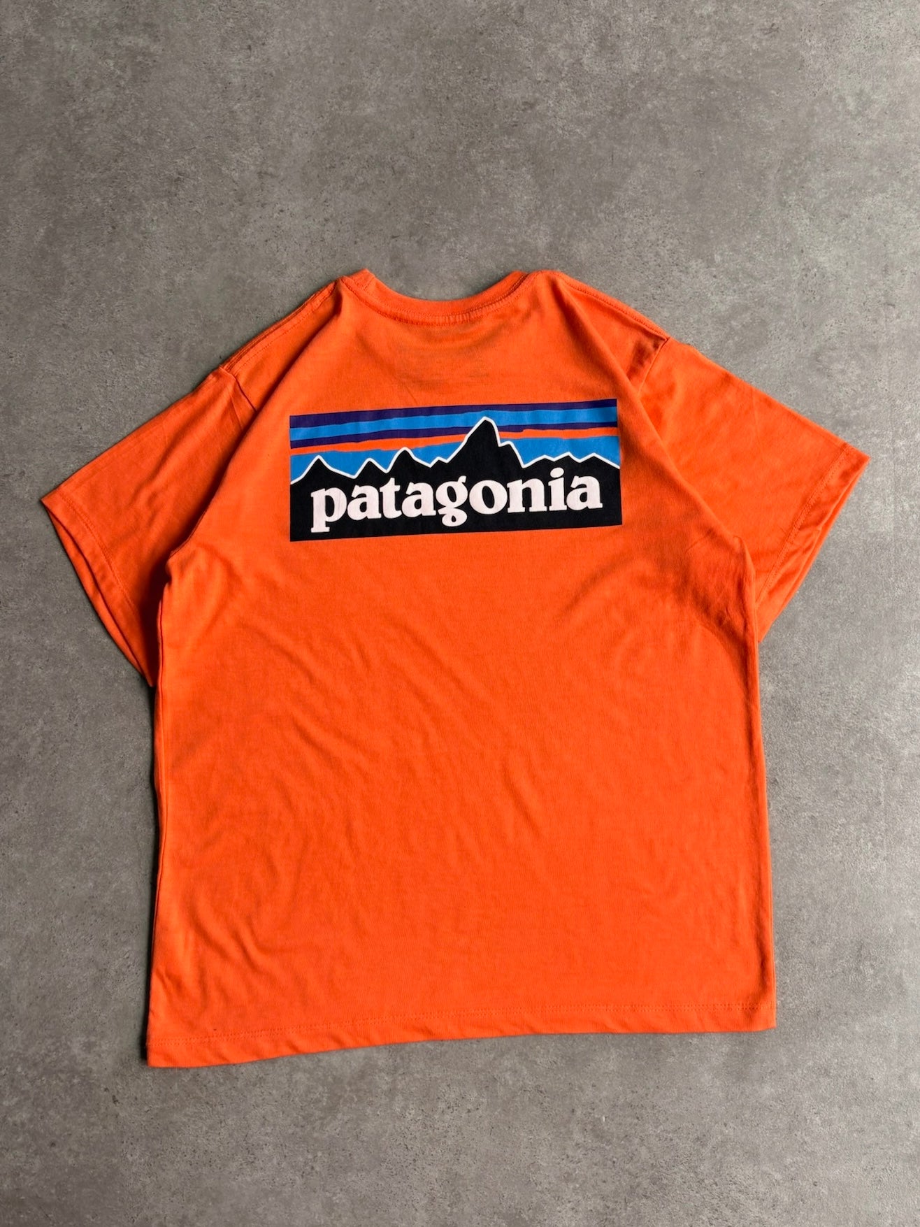 טי שירט Patagonia P-6 Logo וינטג׳ - S