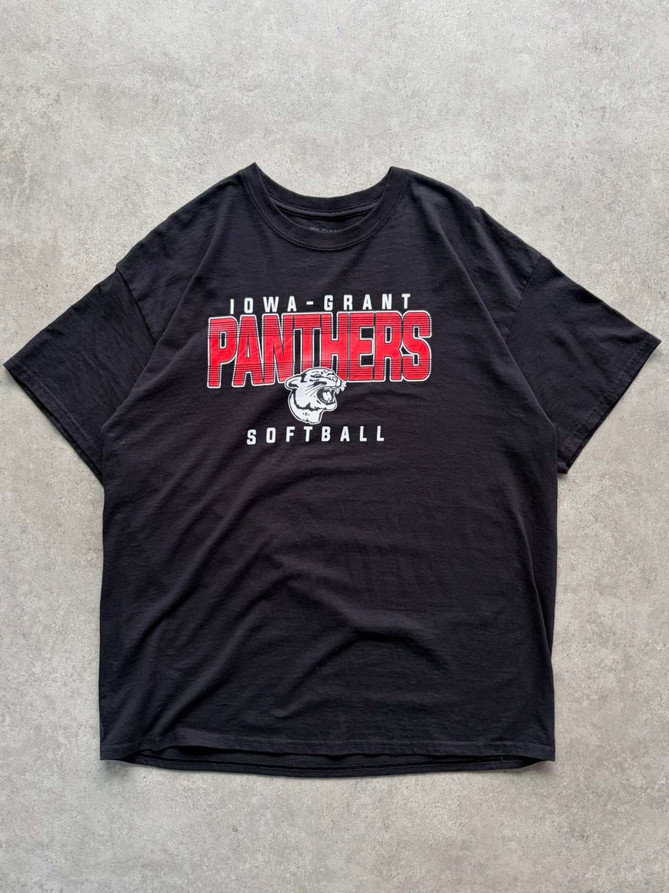 טי שירט Iowa-Grant Panthers Softball וינטג׳ - L