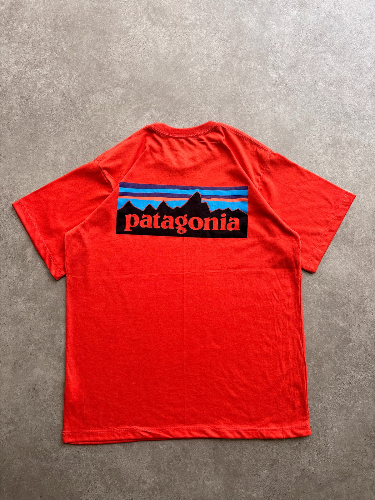 טישירט Patagonia P-6 Logo וינטג׳ - S – טי שירט וינטג׳ פטגוניה | DNA תל אביב