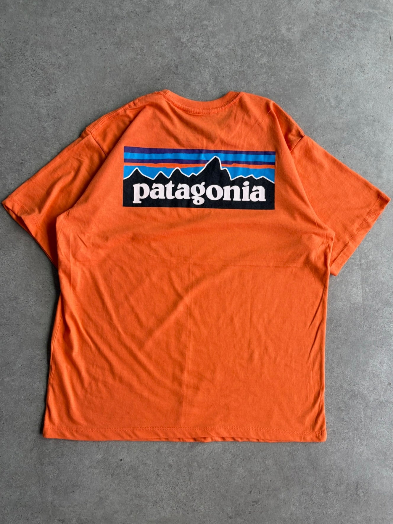 טי שירט Patagonia P-6 וינטג׳ - M