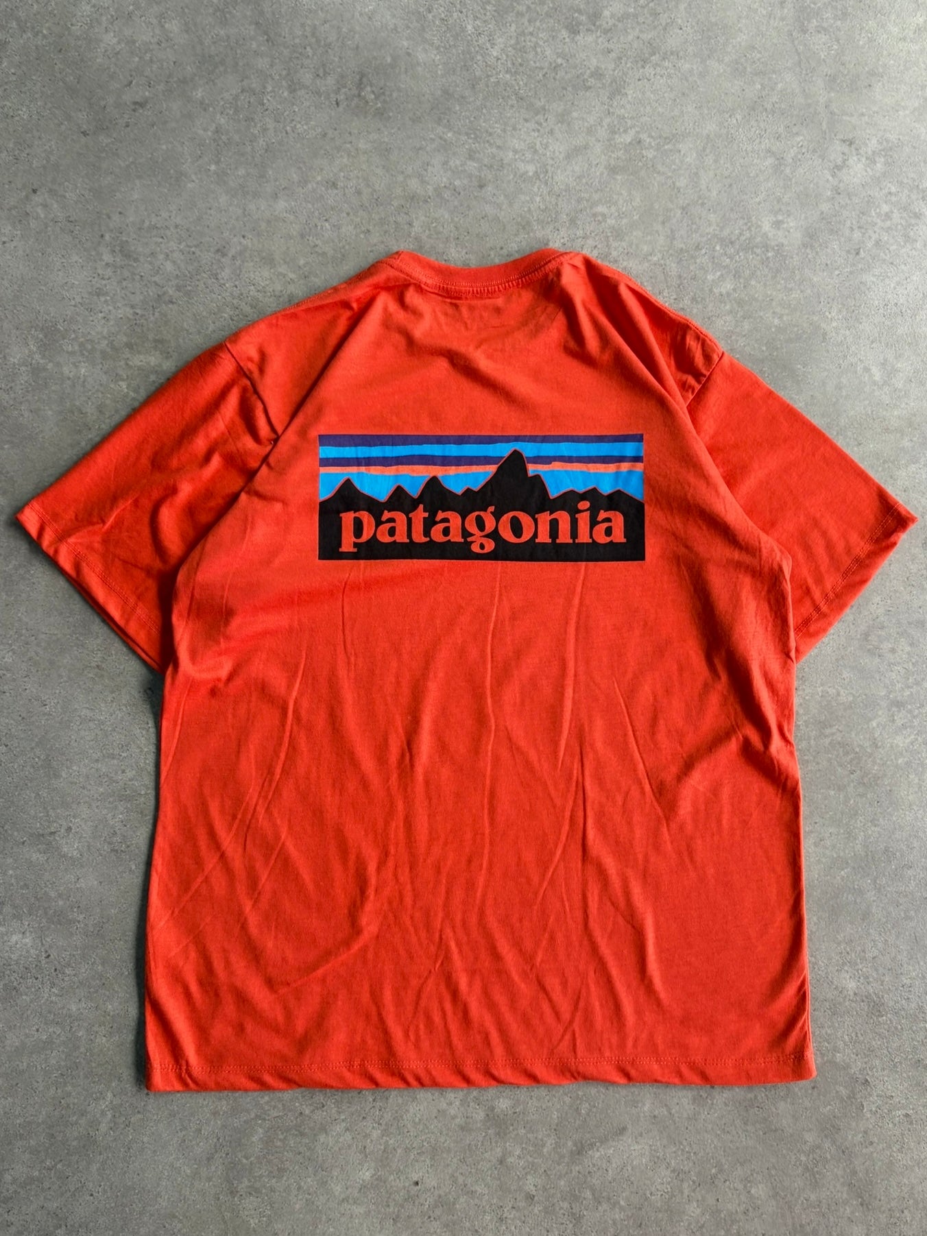 טי שירט Patagonia P-6 וינטג׳ - M