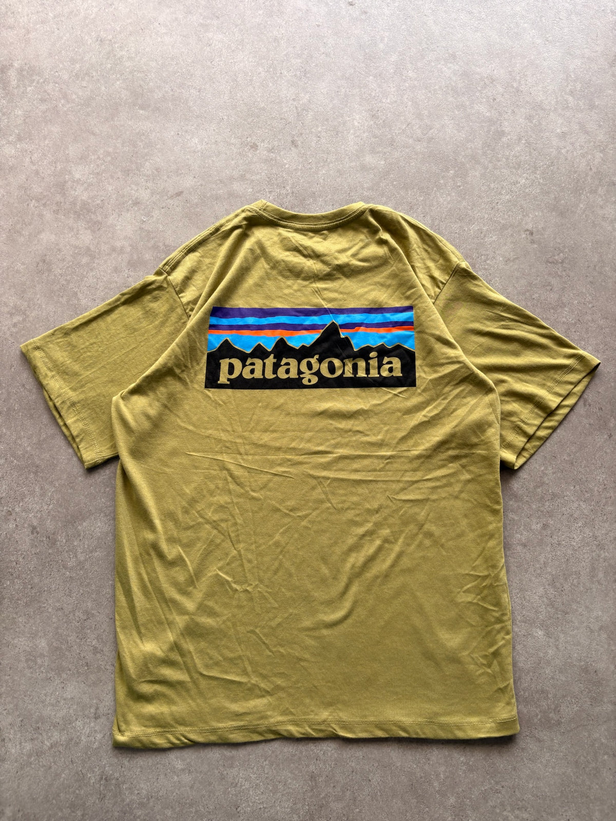 טישירט Patagonia וינטג׳ עם הדפס P-6 - M