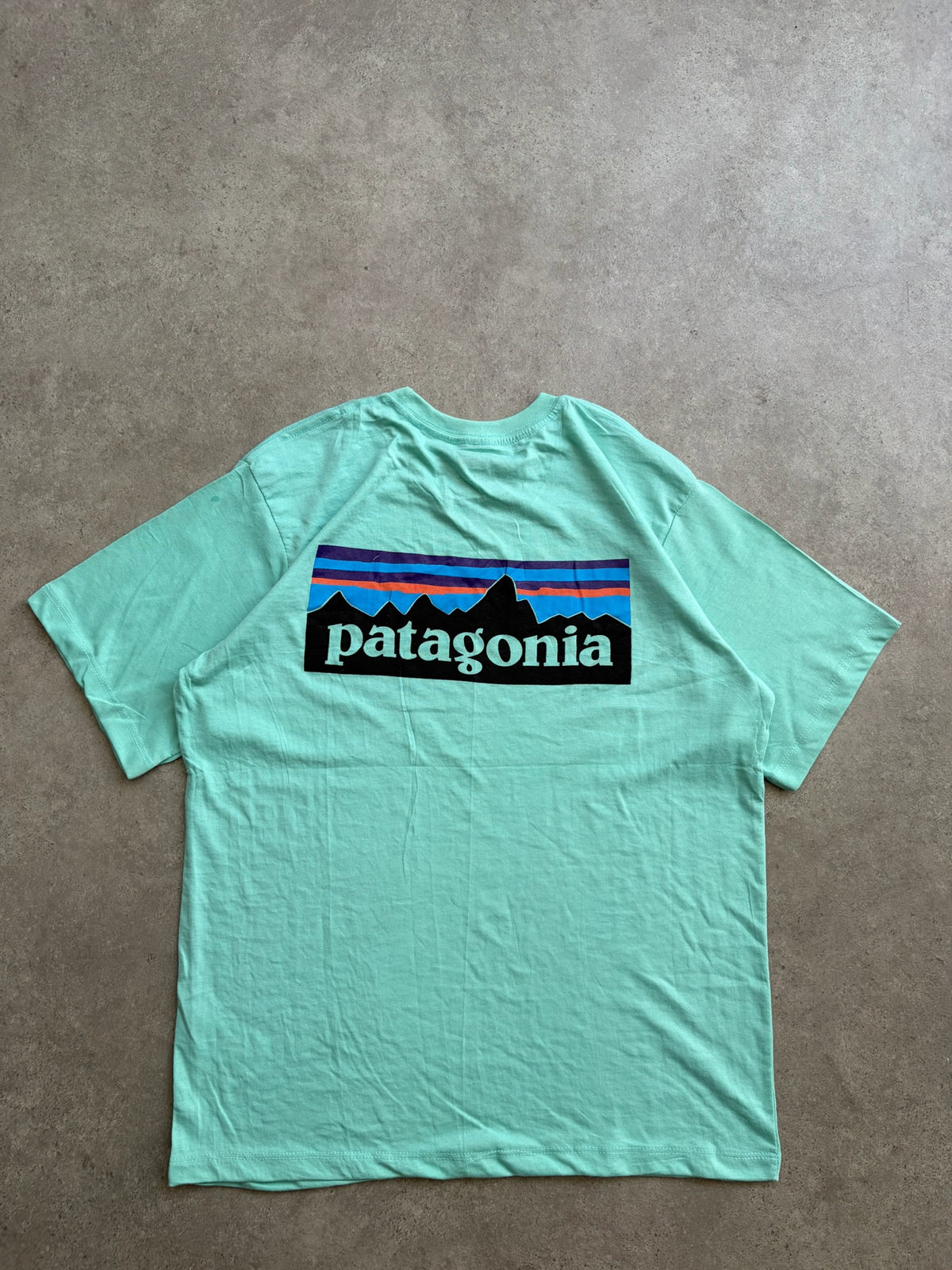 טישירט Patagonia וינטג׳ - M – טי שירט וינטג׳ פטגוניה, תמונה 2